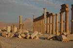 Palmyra